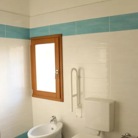 Cedro San Lazzaro di Savena