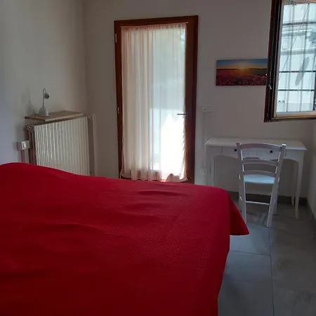 Cedro San Lazzaro di Savena