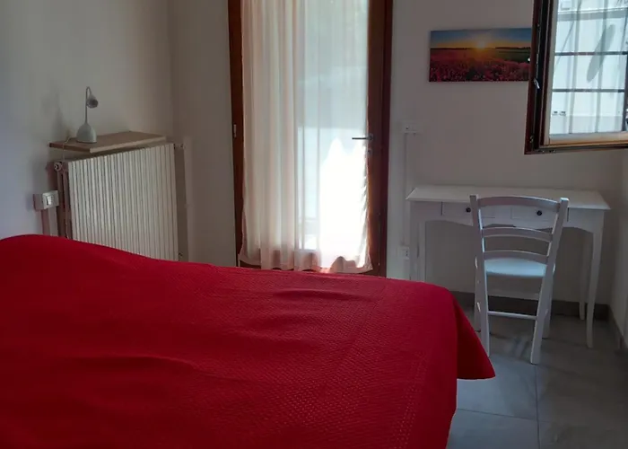 Cedro San Lazzaro di Savena